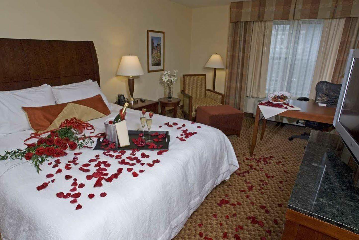 Hilton Garden Inn Albany Medical Center Dış mekan fotoğraf